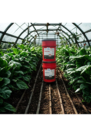 Ucon Sea Sıvı Deniz Yosunu Gübre