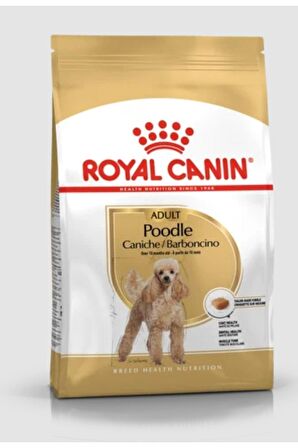 Poodle Yetişkin Köpek Maması 3 Kg. Fastpati
