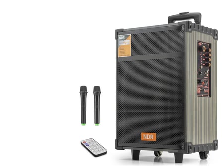 Bluetooth Hoparlör Fm Radyo 12 Inç Usb Tf Aux Çift Mikrofonlu Kumandalı - Siyah NDRC12