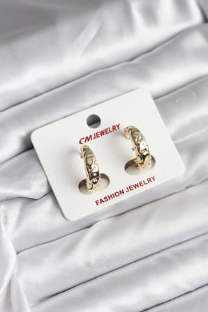 14K Gold Renk Kaplama CM Kadın Küpe TJ-BKP11420