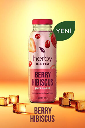 Ice Tea Berry Hibiscus Soğuk Çay Şeker İlavesiz 250 ml x 12