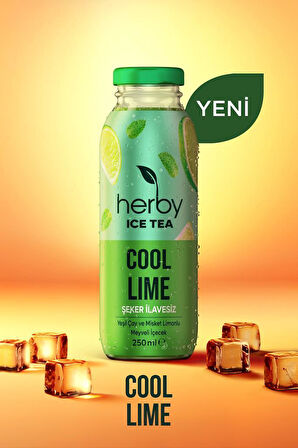 Ice Tea Cool Lime Soğuk Çay Şeker İlavesiz 250 ml x 24