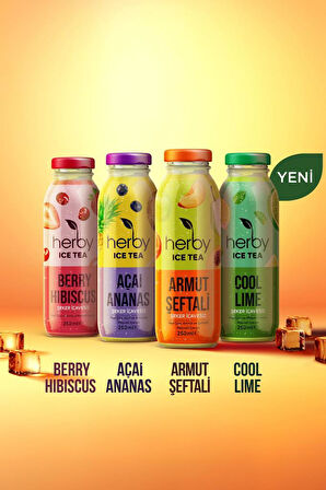 Ice Tea Soğuk Çay Şeker İlavesiz Karışık Deneme Paketi 250 ml x 12