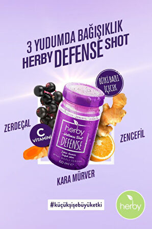 Herby Defense Ginger Shot 12'li Paket Bağışıklık Desteği Bitki Bazlı İçecek 60 ml