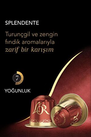 L'OR - Splendente - Intensity 7 - Nespresso Uyumlu Kapsül Kahve Fırsat Paketi 10 x 10 Paket (100 Adet)