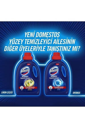 DOMESTOS Yüzey Temizleyici Çam 1500 ml x 2 + Domestos Dağ Esintisi Çamaşır Suyu 750 ml x 2