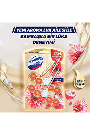 Tuvalet Bloğu Aroma Lux Yıldız Çiçeği & Ejder Meyvesi 100 G X3