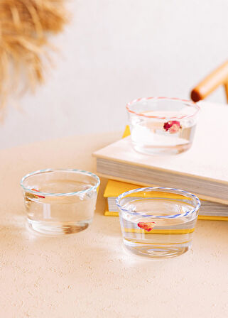The Mia The Mia Simple Dondurmalık Tatlı Sunum Kasesi 6 Parça 150 ml