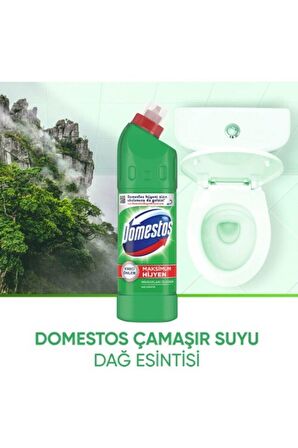 Çamaşır Suyu Dağ Esintisi 750 Ml x 3 Adet