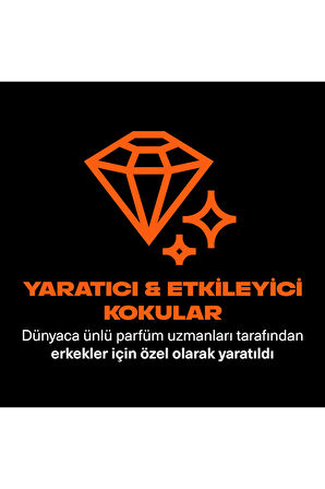 Axe Premium Collection Duş Jeli Copper Santal 3 in 1 Vücut Saç Yüz 300 ml x2