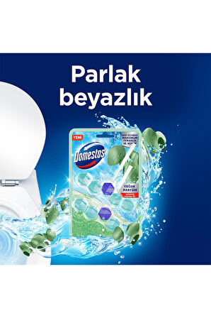 Domestos Tuvalet Bloğu Limon Bahçesi 100 G X1 Lotus Çiçeği 100 G X1 Yağmur Ferahlığı 100 G X1 