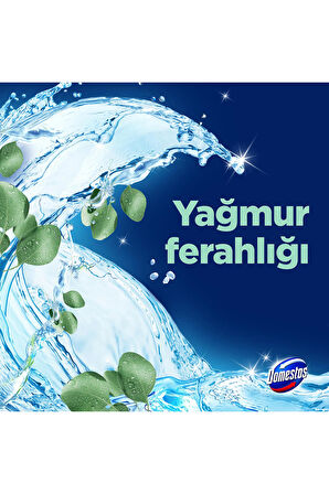 Domestos Tuvalet Bloğu Limon Bahçesi 100 G X1 Lotus Çiçeği 100 G X1 Yağmur Ferahlığı 100 G X1 