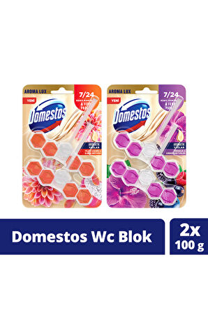 Domestos Tuvalet Bloğu Aroma Lux Yıldız Çiçeği Ejder Meyvesi 100g Hibiskus Kırmızı Meyveler 100g