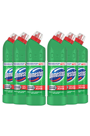 Domestos Dağ Esintisi Çamaşır Suyu 750 ml 6'lı
