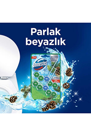 Domestos Tuvalet Bloğu 100 G Çam Ormanı 100 X1 Manolya Buketi 100 G X1 Okyanus Esintisi 100 G X1