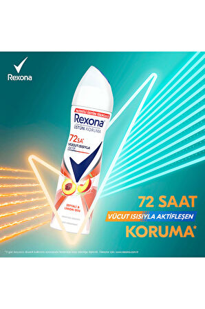 Rexona Üstün Koruma Kadın Sprey Deodorant Şeftali ve Limon Otu 150 ml x3