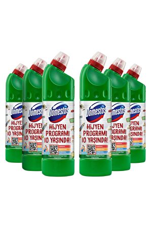 Domestos Yoğun Kıvamlı Çamaşır Suyu Dağ Esintisi Maksimum Hijyen 750 ml 6 Adet