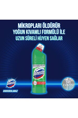 Domestos Yoğun Kıvamlı Çamaşır Suyu Dağ Esintisi Maksimum Hijyen 750 ml 6 Adet