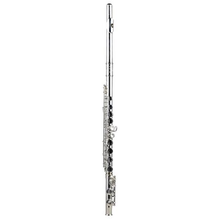 SILVER SFL-190ES Gümüş Kaplama C Flüt (Case Dahil)