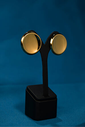 Yuvarlak Formlu Çiftli Kadın Çelik Kadın Küpe