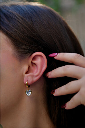 Zirkon Taşlı Kalp Model Sallantılı Çiftli Kadın Çelik Halka Küpe