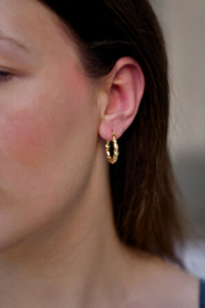 Burma/Burgu Çiftli Kadın Çelik Halka Küpe