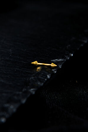 İki Ucu Çivi/Ok Kaş Piercing