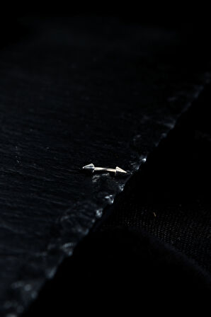 İki Ucu Çivi/Ok Kaş Piercing