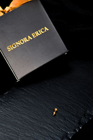 Bir Ucu Düz Bir Ucu Çivi/Ok Dudak Piercing