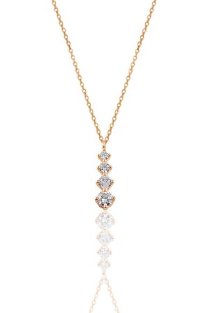 Gümüş rose zirkon taşlı  ışıltılı ikili set