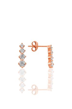 Gümüş rose zirkon taşlı  ışıltılı ikili set
