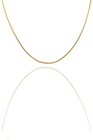Gümüş altın yaldızlı 60 cm italyan yılan kolye