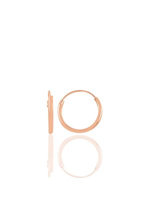  925 Ayar Gümüş Mini rose Halka Küpe