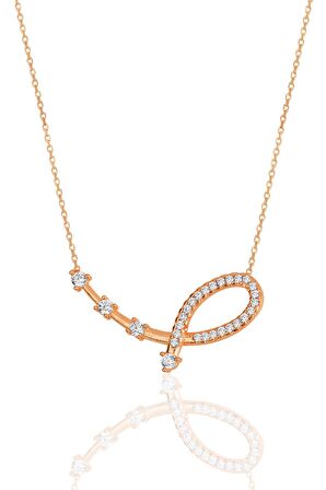 Gümüş rose zirkon taşlı yıldız haritası kolye
