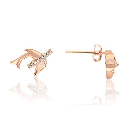 Gümüş yunus küpe