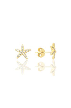Gümüş Altın Yaldızlı Zirkon Taşlı Deniz Yıldızı Modeli Küpe SGTL9725GOLD