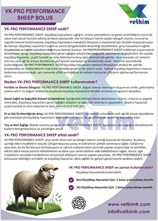 Vk-Pro Performance Sheep Bolus - 4 Adet 18 gr