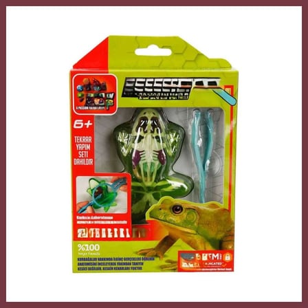 SHNSTORE Mini Labaratuvar SHN0720