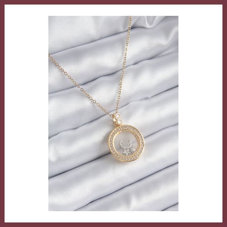 SHNSTORE 316L Çelik Gold Renk Zirkon Taş Detay Ay Yıldız Fanus Model Kadın Kolye SHN0720