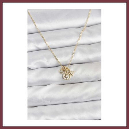SHNSTORE Pirinç Gold Renk Minimal Charmlı Kadın Kolye SHN0720