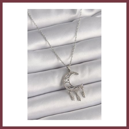 SHNSTORE 316L Çelik Gümüş Renk Zincir Zirkon Taşlı Hilal Model Sallantı Yaprak Detay Kadın Kolye SHN0720