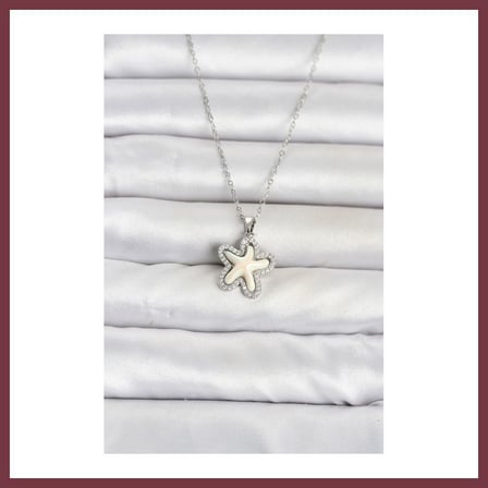 SHNSTORE 316L Çelik Zincir Gümüş Renk Deniz Yıldızı Model Kadın Kolye SHN0720