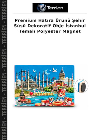 Premium Hatıra Ürünü Şehir Süsü Dekoratif Obje İstanbul Temalı Polyester Magnet