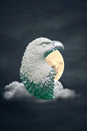 Silver White Kartal