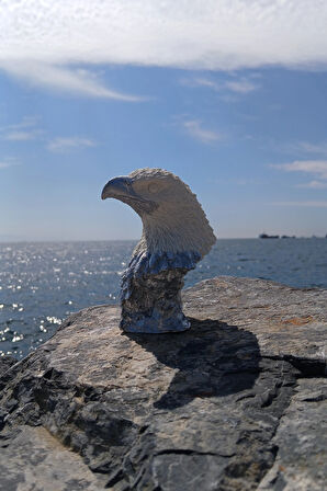 Silver White Kartal