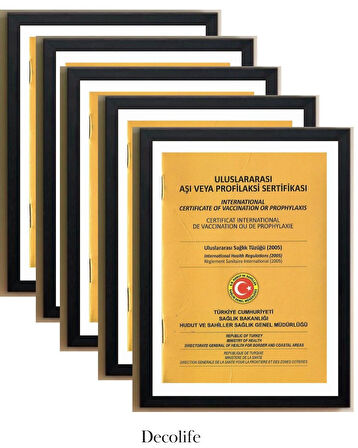 5'Lİ A4 ÇERÇEVE, BELGE ÇERÇEVESİ, DİPLOMA, SERTİFİKA, FOTOĞRAF ÇERÇEVESİ, RESİM ÇERÇEVESİ, 21x30