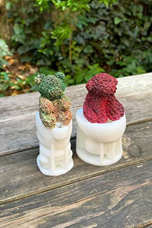 Rose Bear ve Rose Dog İki Adet Silikon Mum Kalıp Seti