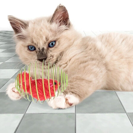 Leyloş Yaylı Metal Fareli Kafes Kedi Oyun Topu Sıçrayan Spiral Kedi Topu