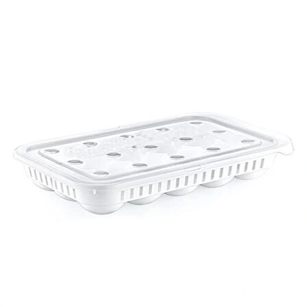 Leyloş 15liyumurta Saklama Kabı