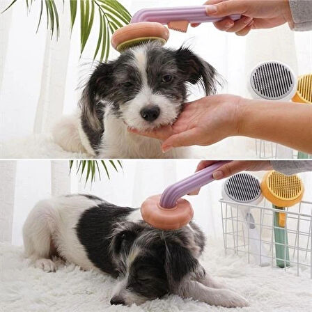 Leyloş Plastik Yeşil Evcil Hayvan Bakım  Pet Fırçası Çok Amaçlı Pet Fırçası Yeşil